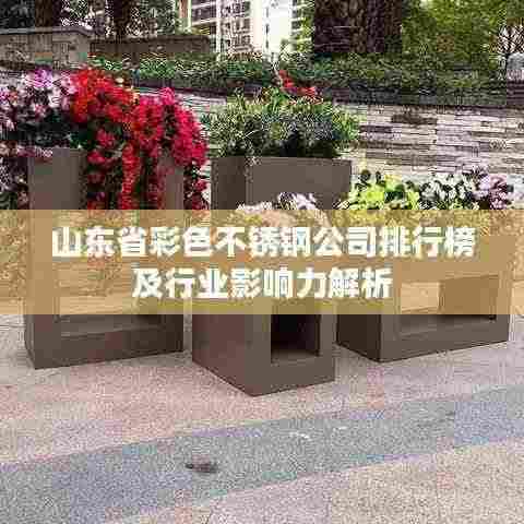 山东省彩色不锈钢公司排行榜及行业影响力解析