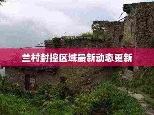 兰村封控区域最新动态更新