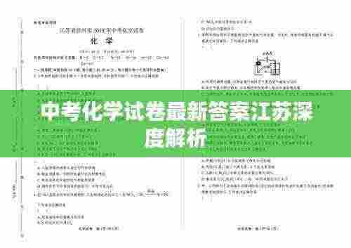 中考化学试卷最新答案江苏深度解析