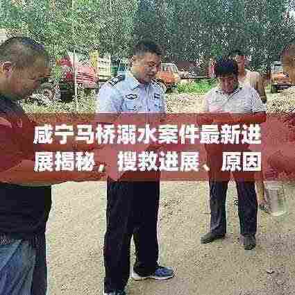 鸟栖虫居 第3页