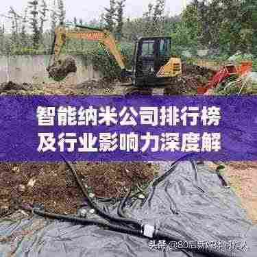 智能纳米公司排行榜及行业影响力深度解析