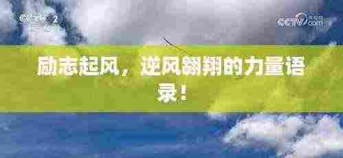 励志起风,逆风翱翔的力量语录!