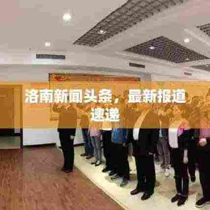 洛南新闻头条,最新报道速递