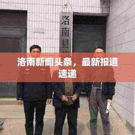 洛南新闻头条,最新报道速递