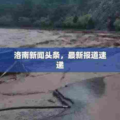 洛南新闻头条,最新报道速递