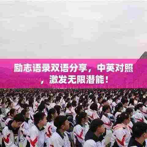 励志语录双语分享,中英对照,激发无限潜能!