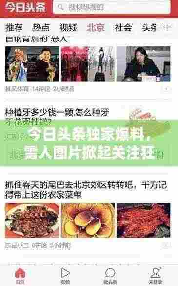 今日头条独家爆料，雪人图片掀起关注狂潮！