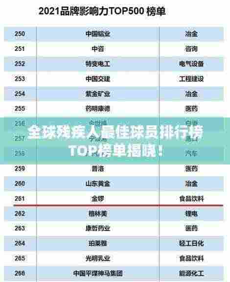 全球残疾人最佳球员排行榜TOP榜单揭晓!