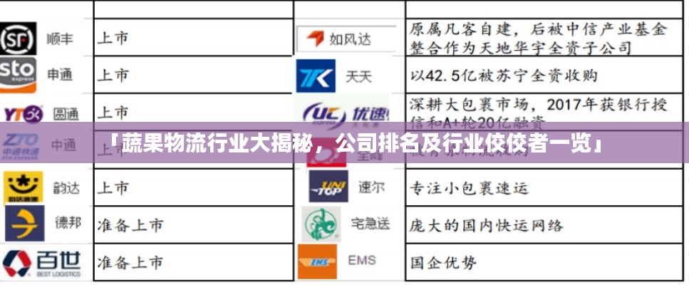 「蔬果物流行业大揭秘，公司排名及行业佼佼者一览」