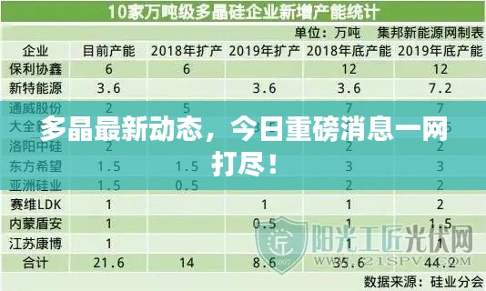 多晶最新动态，今日重磅消息一网打尽！