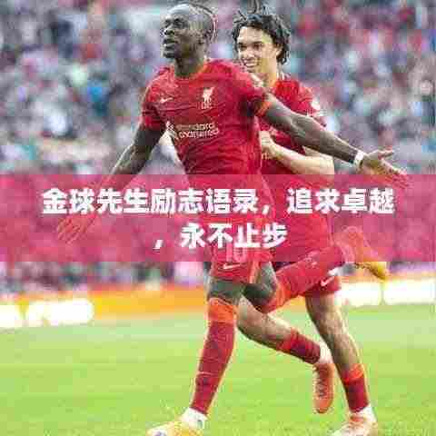 金球先生励志语录,追求卓越,永不止步