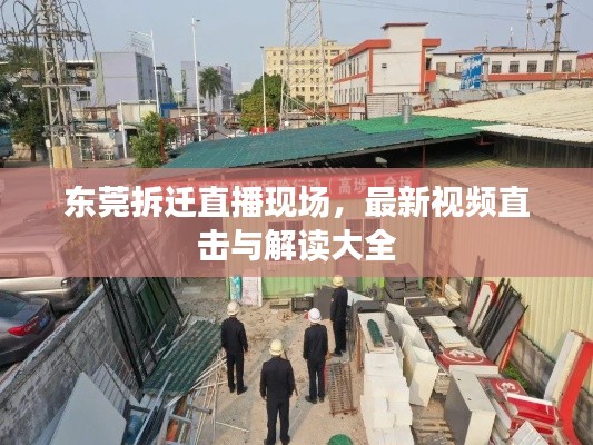 东莞拆迁直播现场,最新视频直击与解读大全