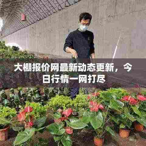 大棚报价网最新动态更新，今日行情一网打尽