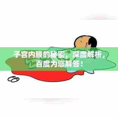 子宫内膜的秘密，深度解析，百度为您解答！
