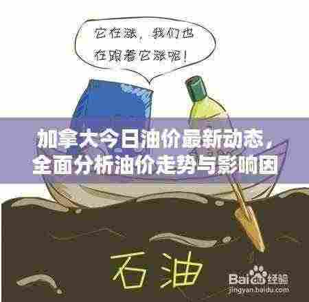 加拿大今日油价最新动态,全面分析油价走势与影响因素