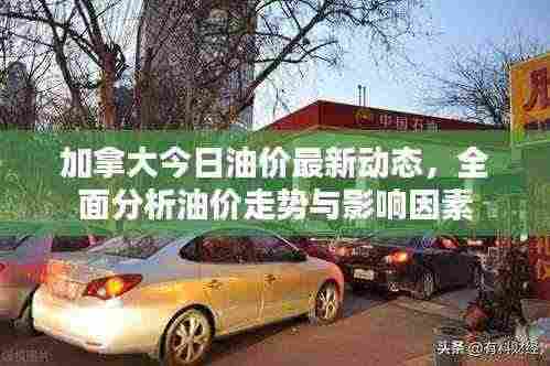 加拿大今日油价最新动态，全面分析油价走势与影响因素