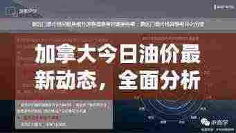 加拿大今日油价最新动态,全面分析油价走势与影响因素