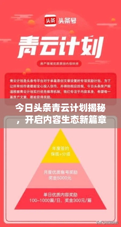 今日头条青云计划揭秘，开启内容生态新篇章