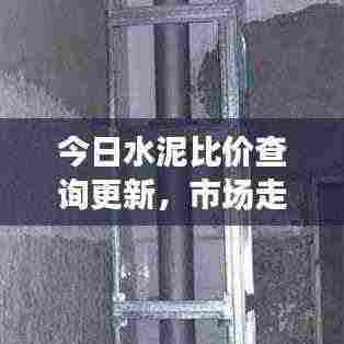 今日水泥比价查询更新,市场走势深度分析与价格动态解读