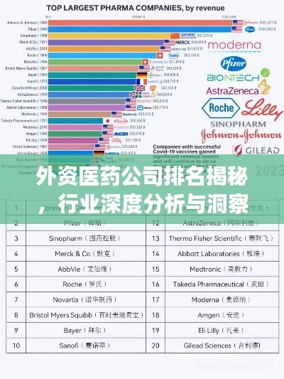 外资医药公司排名揭秘,行业深度分析与洞察