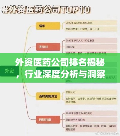 外资医药公司排名揭秘,行业深度分析与洞察