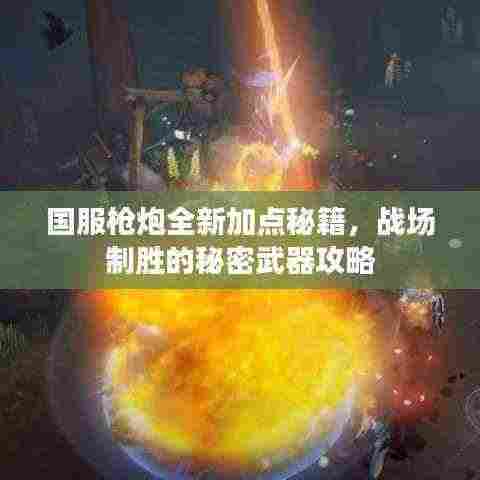 国服枪炮全新加点秘籍，战场制胜的秘密武器攻略