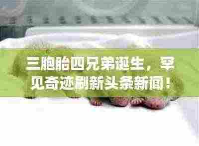 三胞胎四兄弟诞生,罕见奇迹刷新头条新闻!