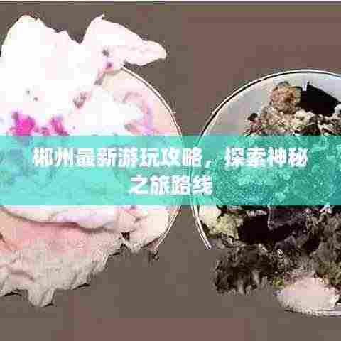 郴州最新游玩攻略,探索神秘之旅路线