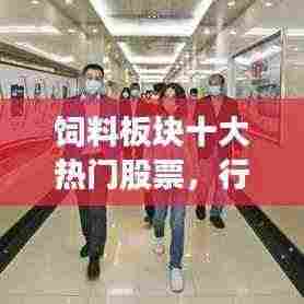 饲料板块十大热门股票,行业深度洞察与投资策略解析