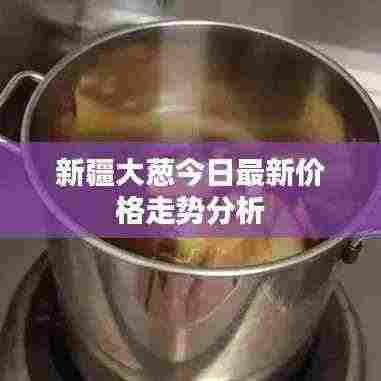 新疆大葱今日最新价格走势分析
