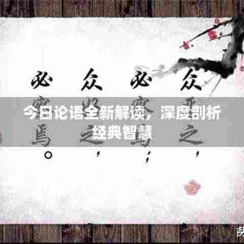 今日论语全新解读,深度剖析经典智慧