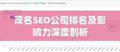 茂名SEO公司排名及影响力深度剖析