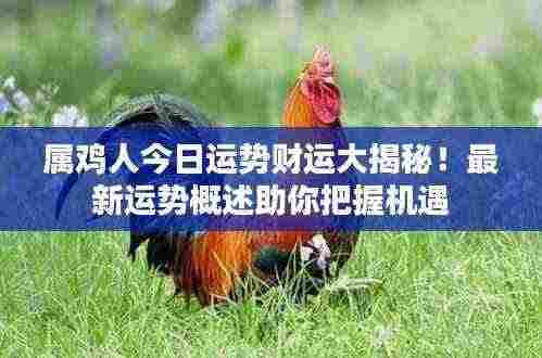 属鸡人今日运势财运大揭秘!最新运势概述助你把握机遇