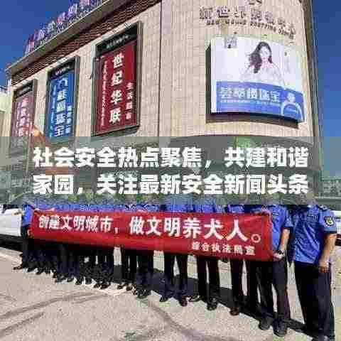 社会安全热点聚焦,共建和谐家园,关注最新安全新闻头条