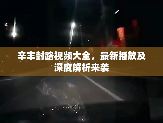 辛丰封路视频大全,最新播放及深度解析来袭