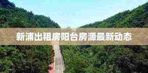 新浦出租房阳台房源最新动态