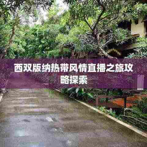 西双版纳热带风情直播之旅攻略探索