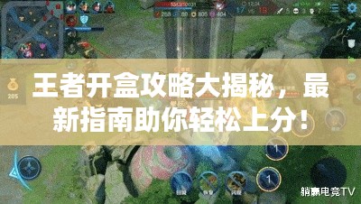 王者开盒攻略大揭秘,最新指南助你轻松上分!
