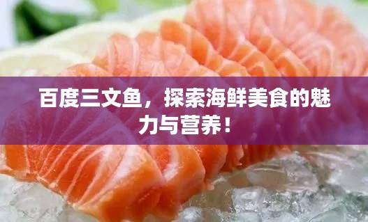 百度三文鱼,探索海鲜美食的魅力与营养!