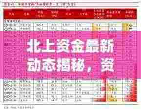 北上资金最新动态揭秘，资金流向排名及投资策略洞察