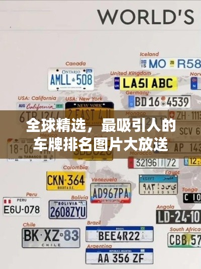 全球精选,最吸引人的车牌排名图片大放送