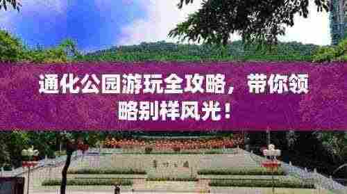 通化公园游玩全攻略,带你领略别样风光!