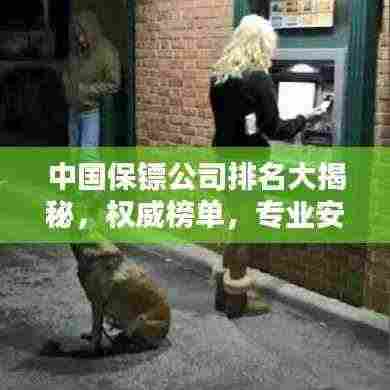 中国保镖公司排名大揭秘,权威榜单,专业安全守护!