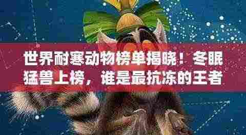 世界耐寒动物榜单揭晓!冬眠猛兽上榜,谁是最抗冻的王者?