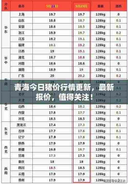 青海今日猪价行情更新，最新报价，值得关注！
