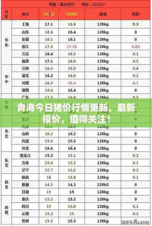 青海今日猪价行情更新,最新报价,值得关注!