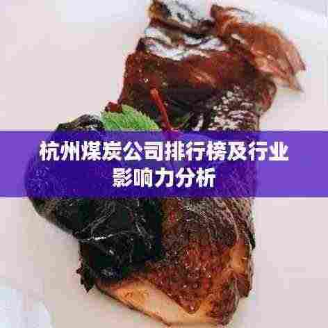 杭州煤炭公司排行榜及行业影响力分析