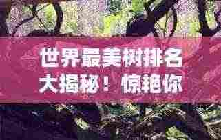 世界最美树排名大揭秘！惊艳你的视觉盛宴！