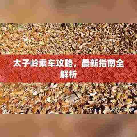 太子岭乘车攻略,最新指南全解析