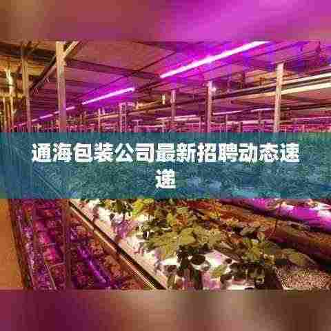 通海包装公司最新招聘动态速递